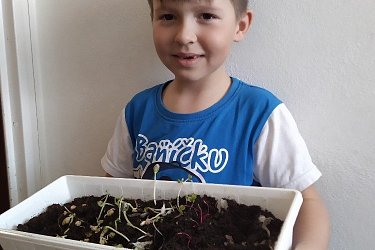 Obrázek č.21
